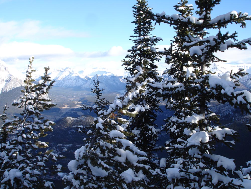Banff, Canada: DSC02928.jpg