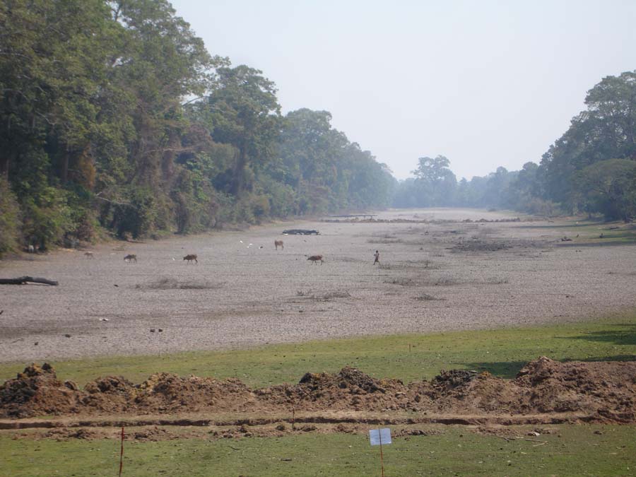 Siem Reap, Cambodia: DSC03565.jpg