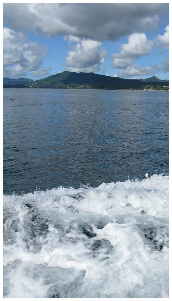 Comoros: tn_IMG_2229.jpg