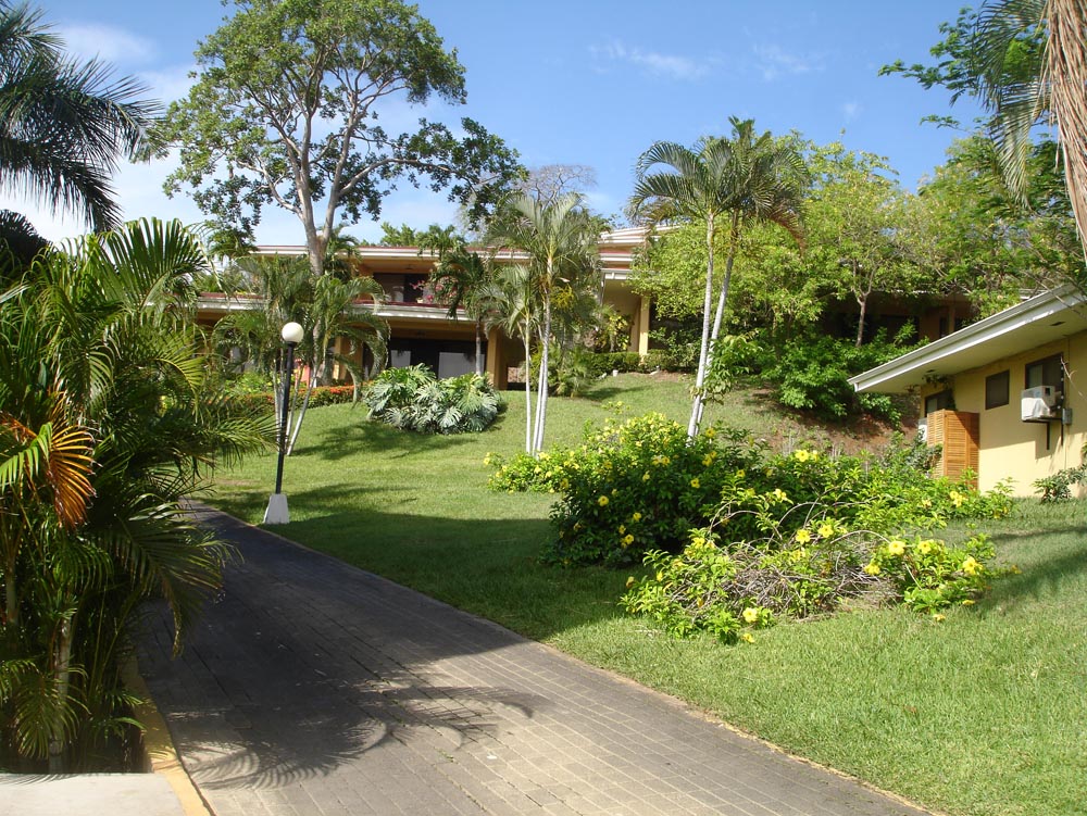 Costa Rica: DSC03971.jpg