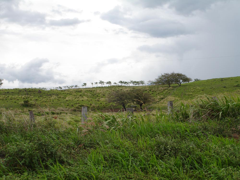 Costa Rica: DSC03986.jpg