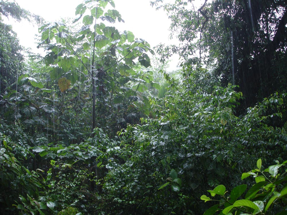 Costa Rica: DSC03996.jpg