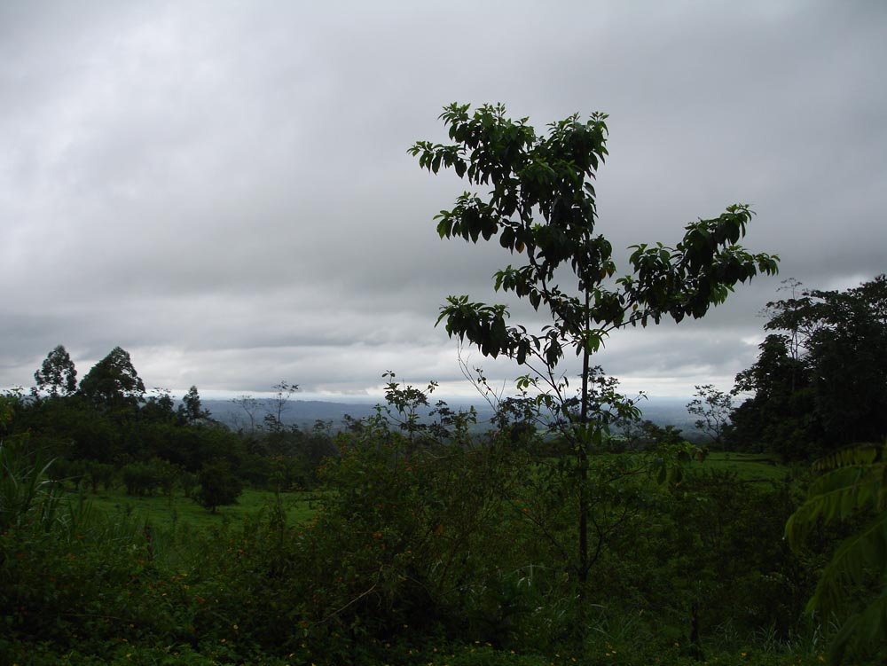 Costa Rica: DSC04015.jpg