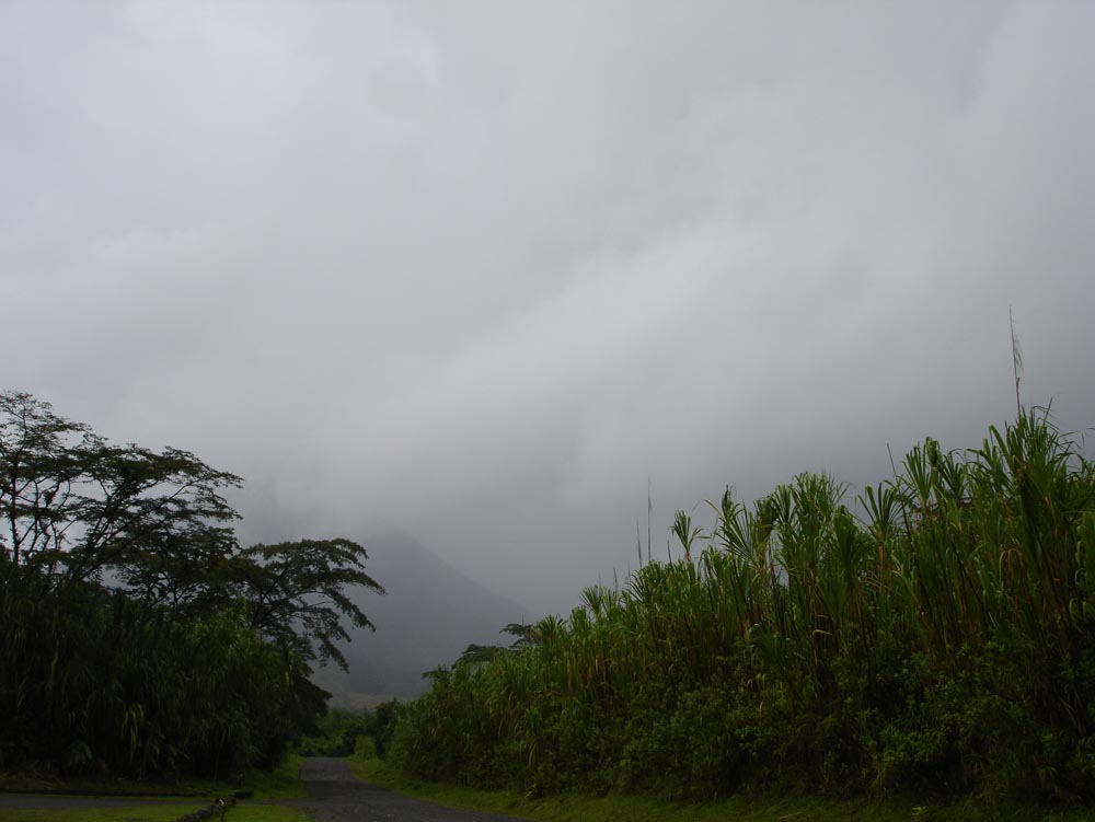 Costa Rica: DSC04018.jpg