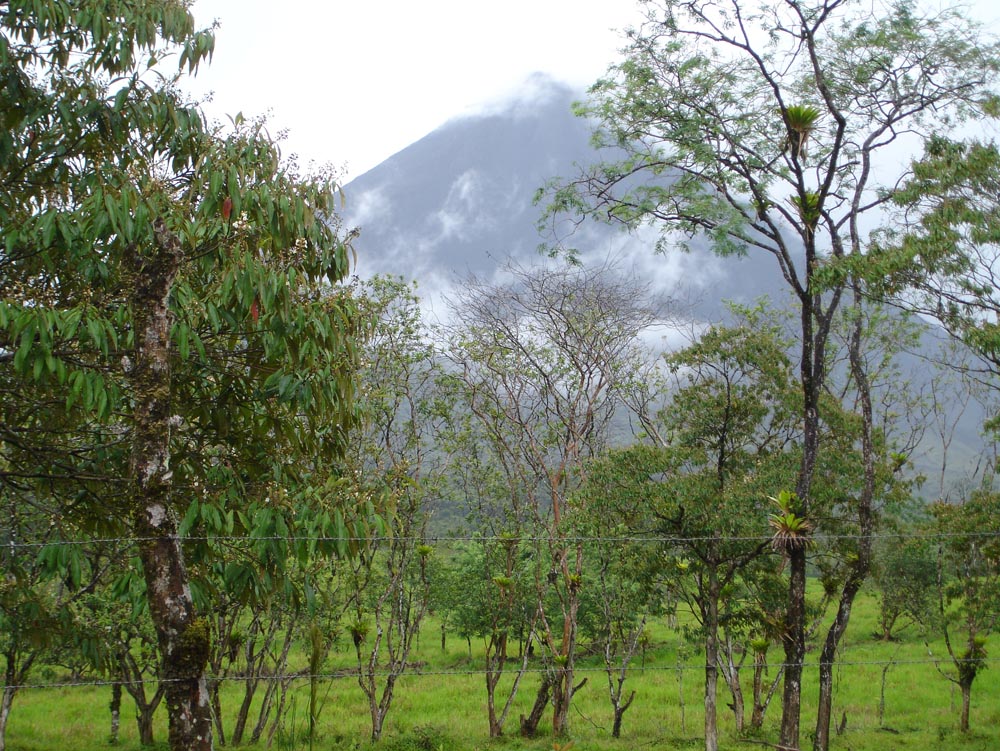 Costa Rica: DSC04024.jpg