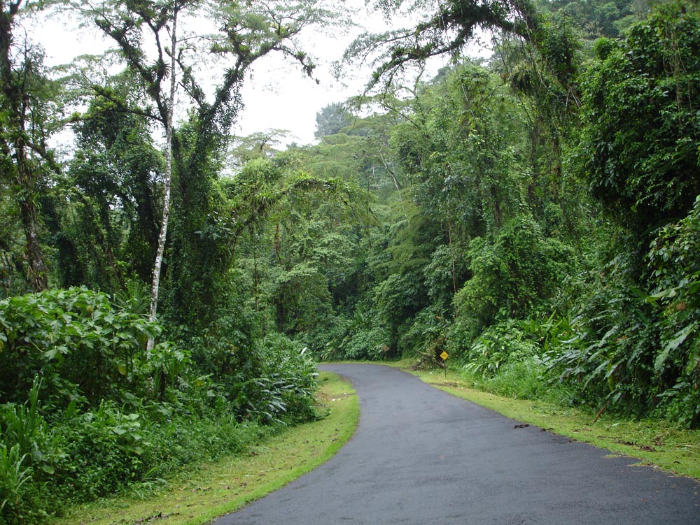 Costa Rica: DSC04038.jpg