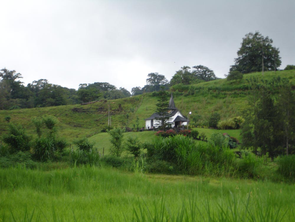 Costa Rica: DSC04046.jpg