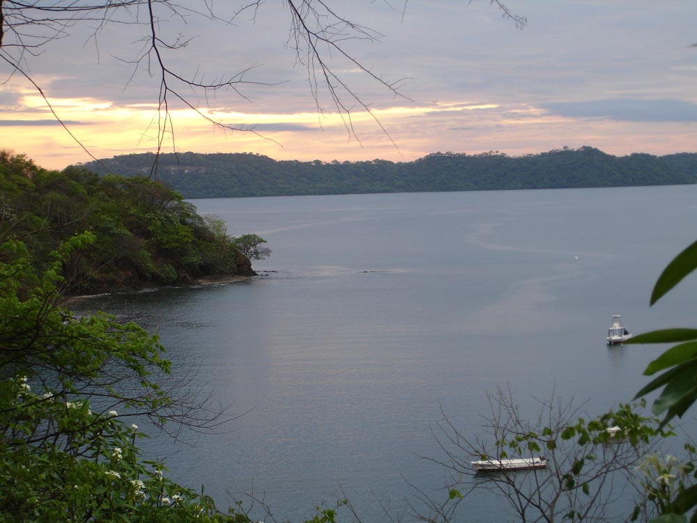 Costa Rica: DSC04119.jpg