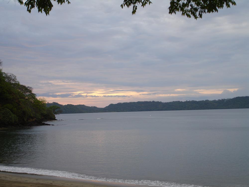 Costa Rica: DSC04144.jpg