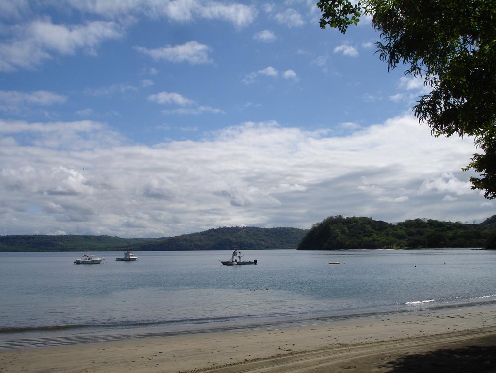 Costa Rica: DSC04184.jpg