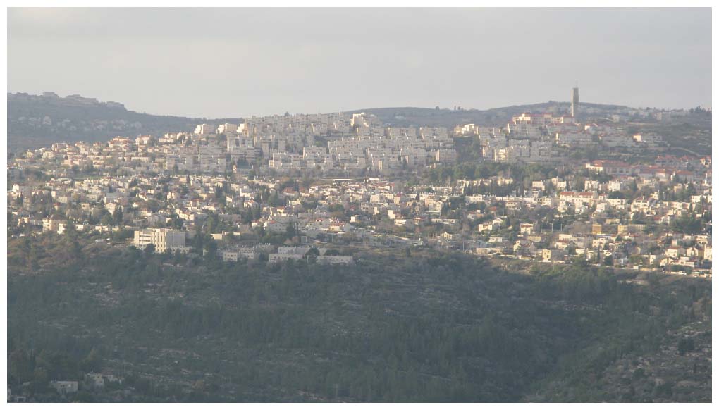 Israel: IMG_2893.jpg