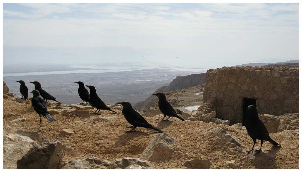 Israel: IMG_3094.jpg
