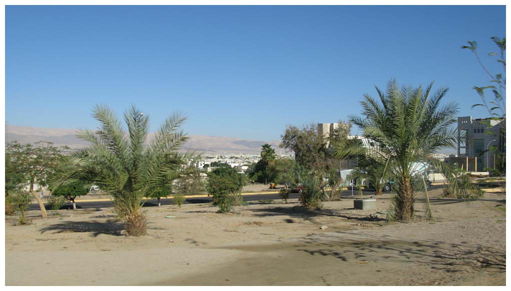 Jordan: IMG_2916.jpg
