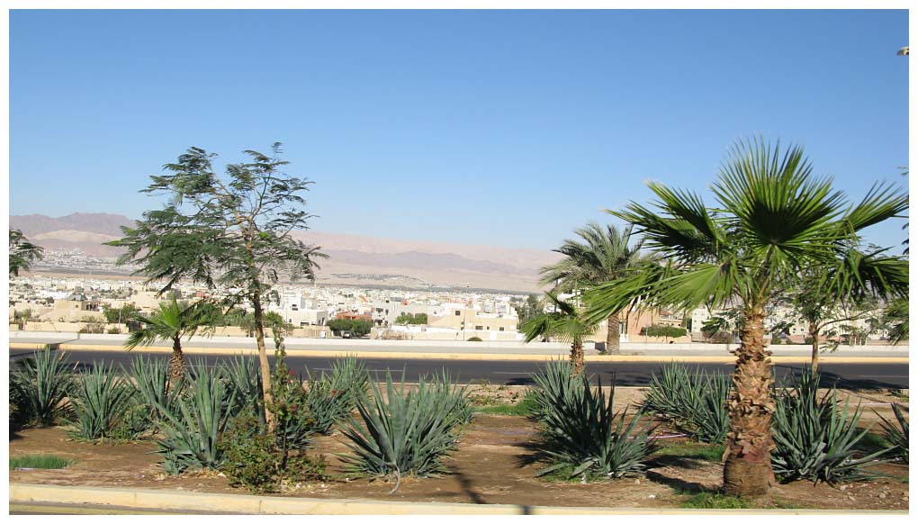 Jordan: IMG_2926.jpg