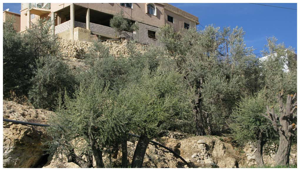 Jordan: IMG_3062.jpg