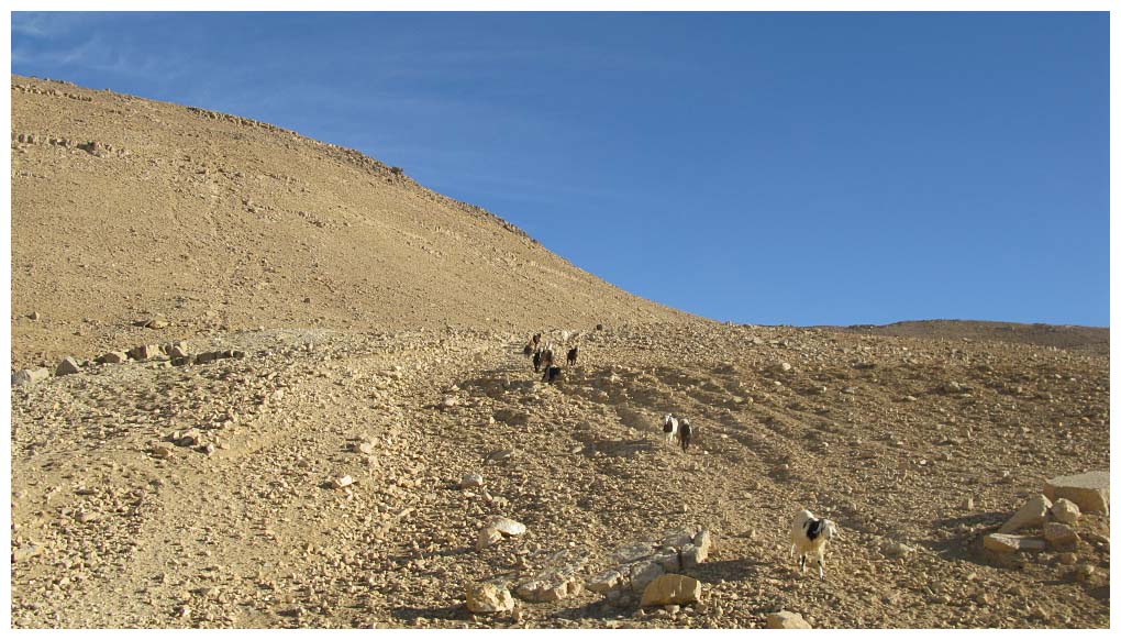 Jordan: IMG_3071.jpg