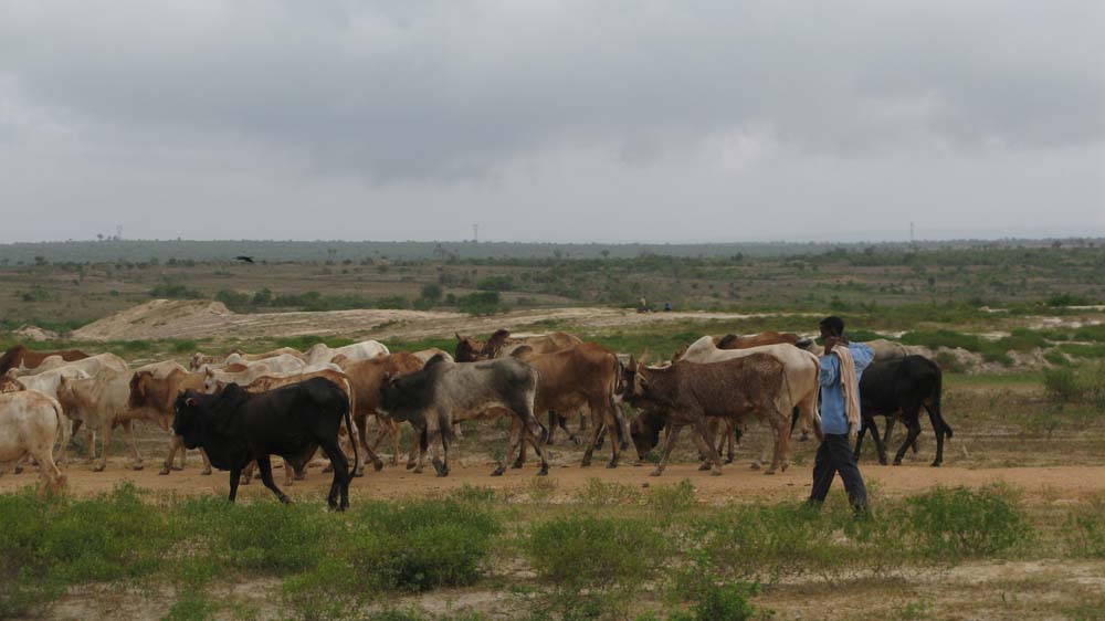 Mombasa, Kenya: IMG_1995.jpg