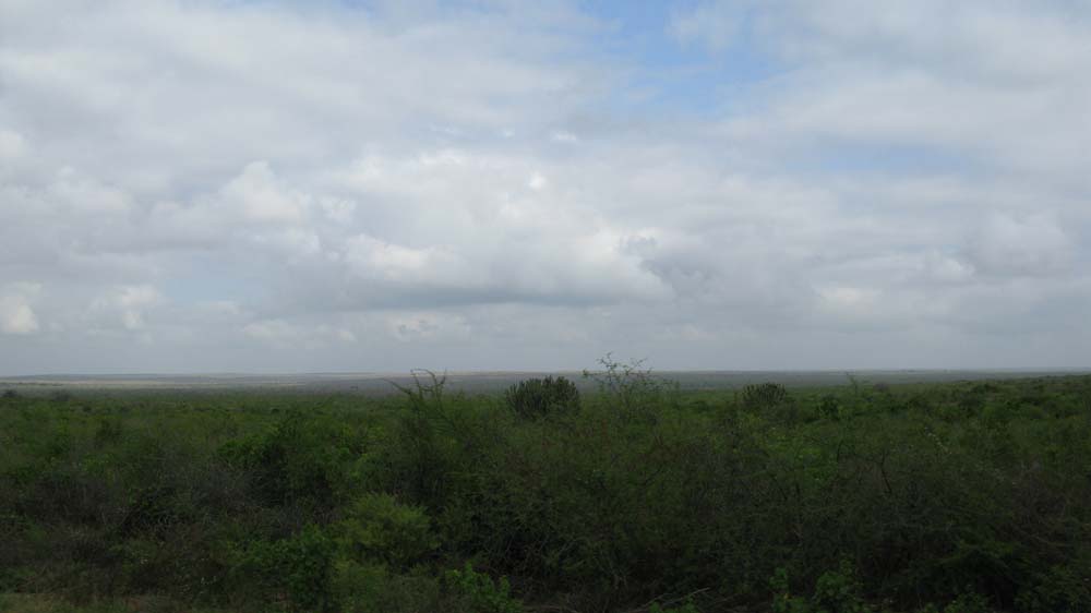 Mombasa, Kenya: IMG_1998.jpg