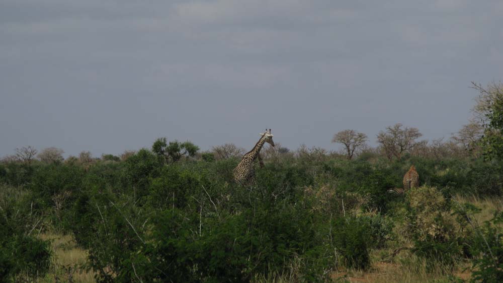 Mombasa, Kenya: IMG_2021.jpg