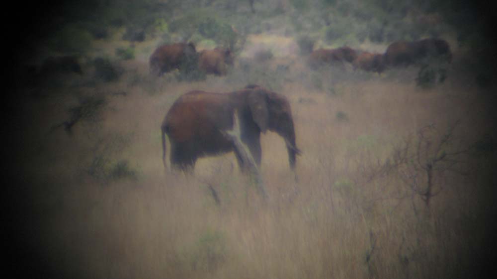 Mombasa, Kenya: IMG_2061.jpg