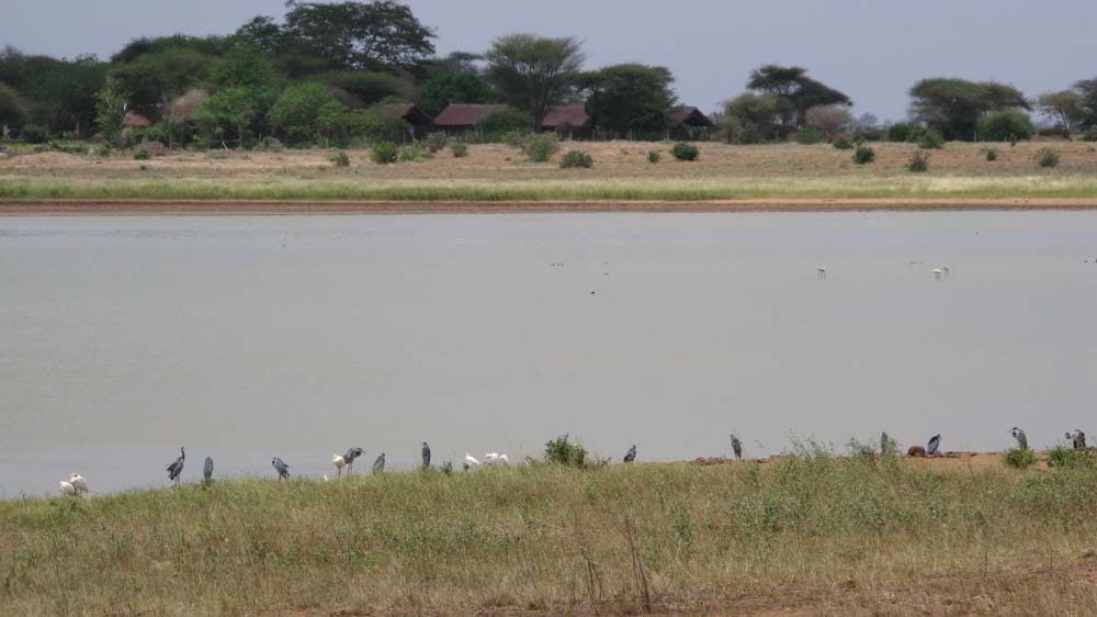 Mombasa, Kenya: IMG_2094.jpg