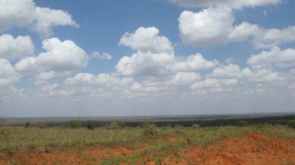 Mombasa, Kenya: IMG_2125.jpg