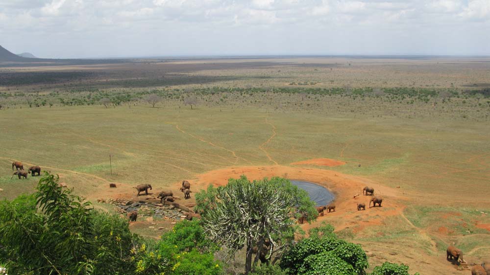Mombasa, Kenya: IMG_2127.jpg
