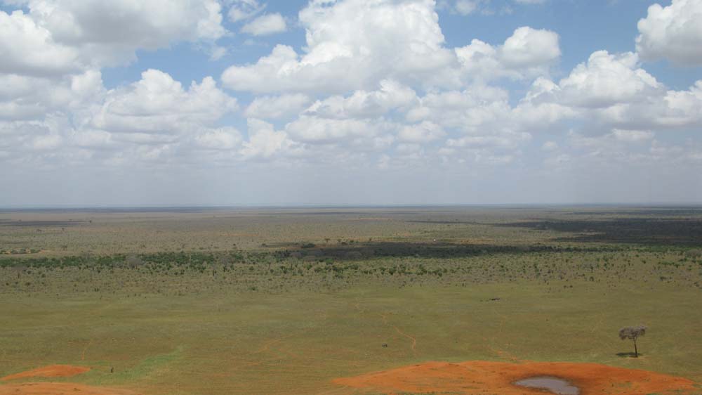 Mombasa, Kenya: IMG_2128.jpg