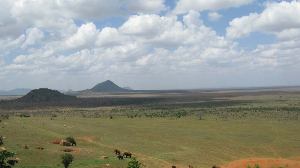 Mombasa, Kenya: IMG_2129.jpg