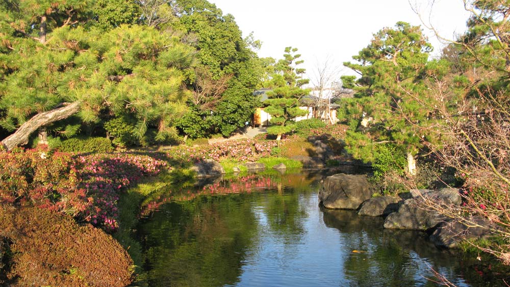 Osaka and Nagoya, Japan: IMG_1670.jpg