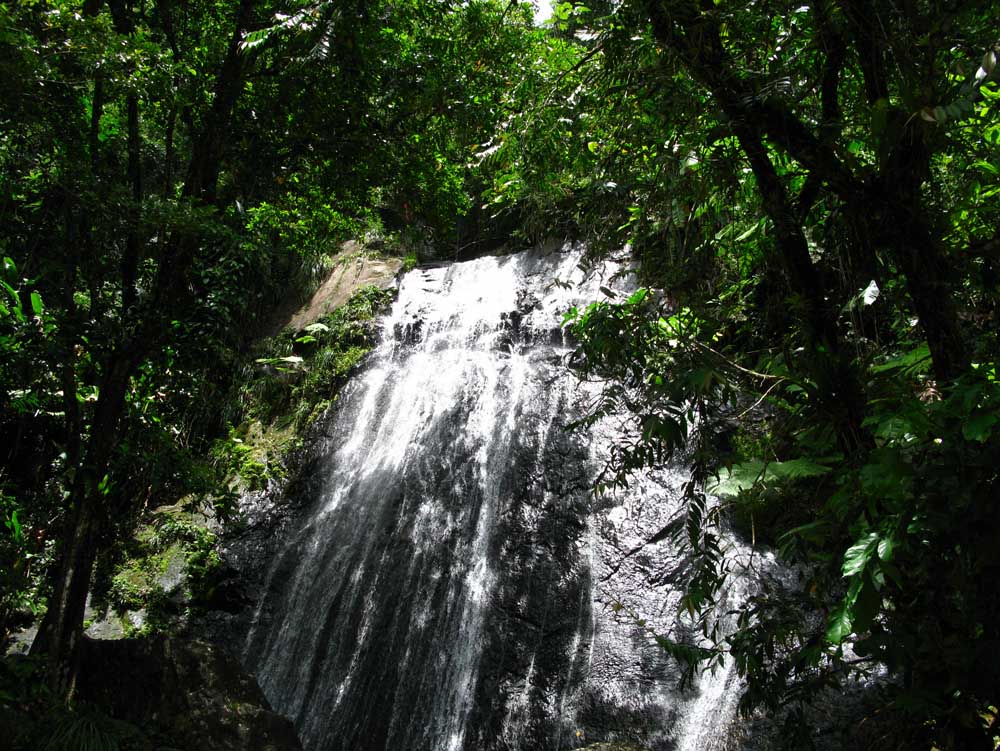 Puerto Rico: IMG_0489.jpg