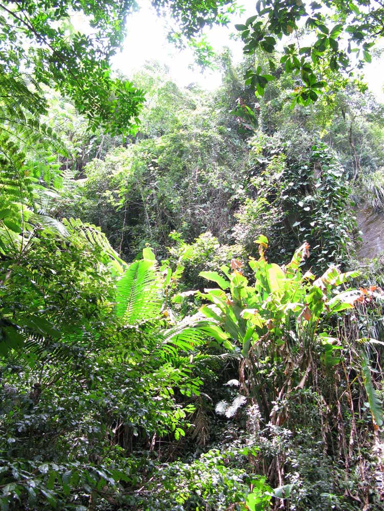 Puerto Rico: IMG_0503.jpg