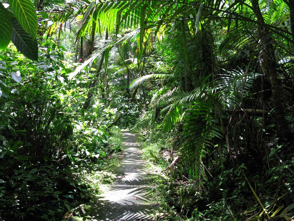 Puerto Rico: IMG_0557.jpg