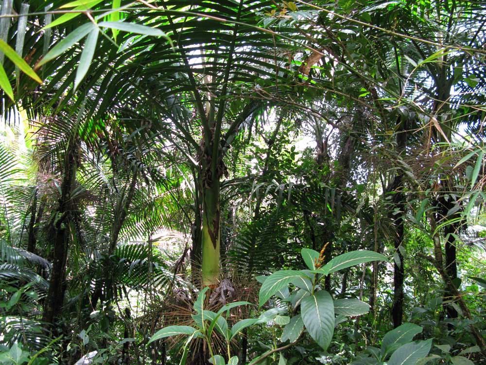 Puerto Rico: IMG_0565.jpg