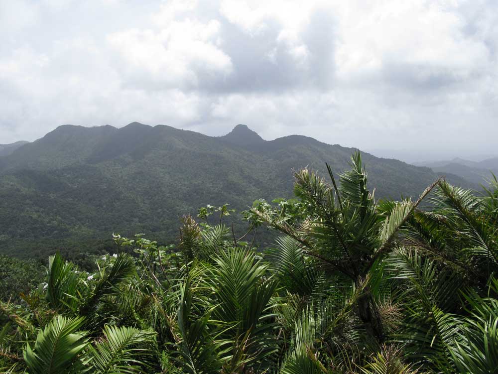 Puerto Rico: IMG_0577.jpg