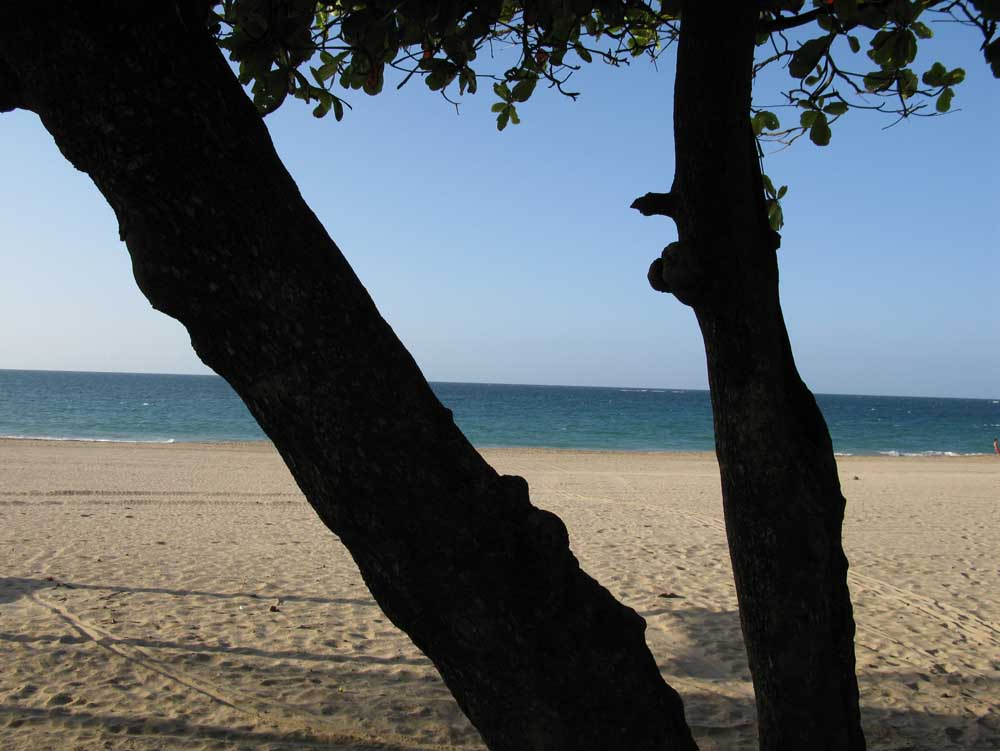Puerto Rico: IMG_0671.jpg