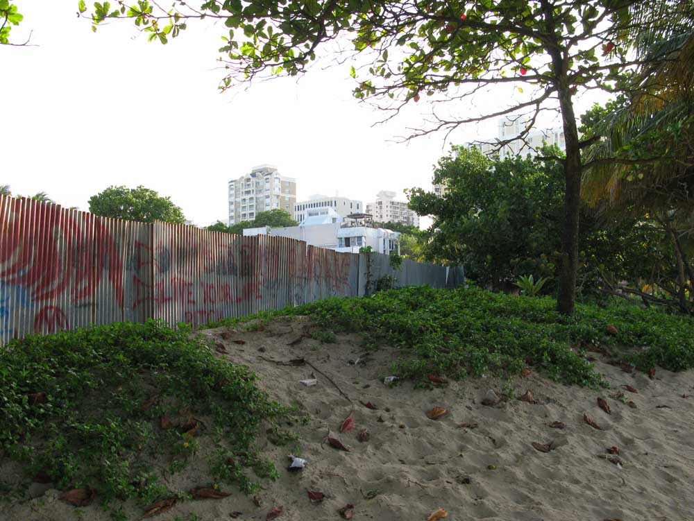 Puerto Rico: IMG_0673.jpg