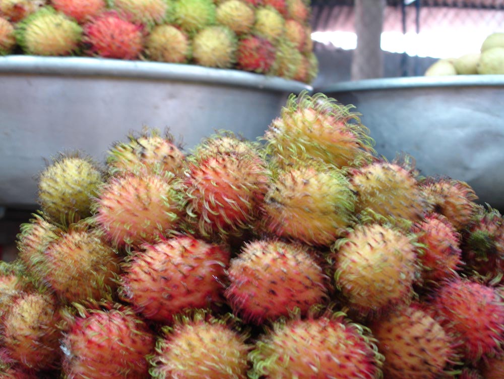 Saigon, Vietnam: DSC00535.jpg