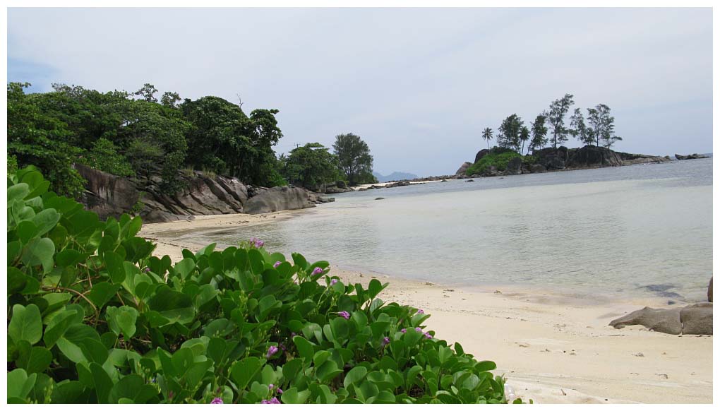 Seychelles Islands: IMG_2566.jpg