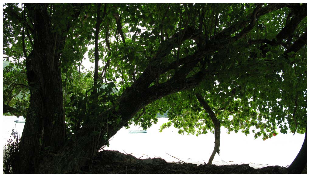 Seychelles Islands: IMG_2569.jpg