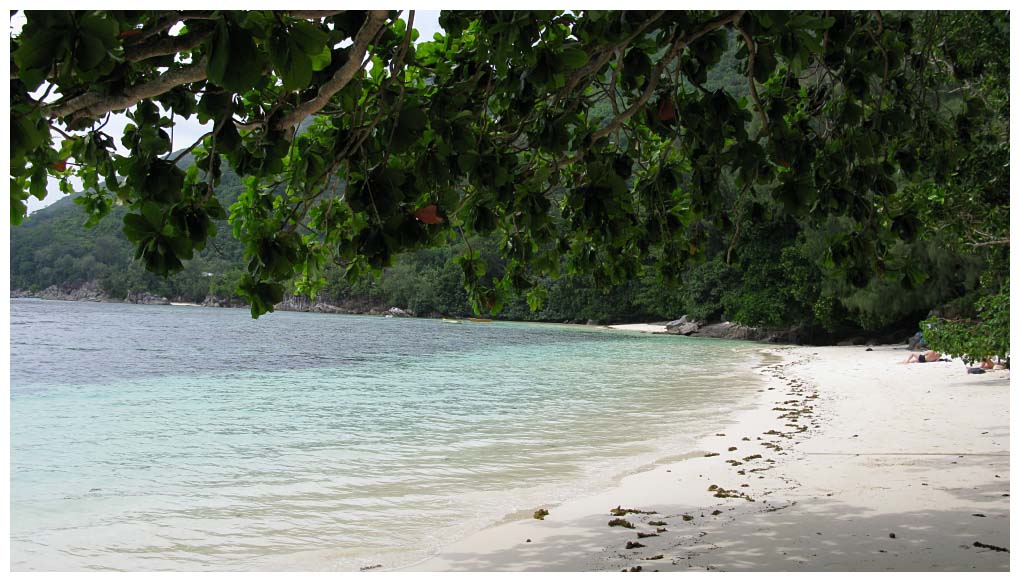 Seychelles Islands: IMG_2574.jpg