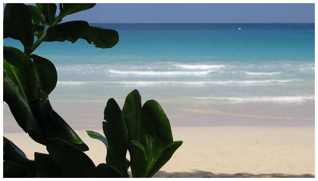 Seychelles Islands: IMG_2606.jpg