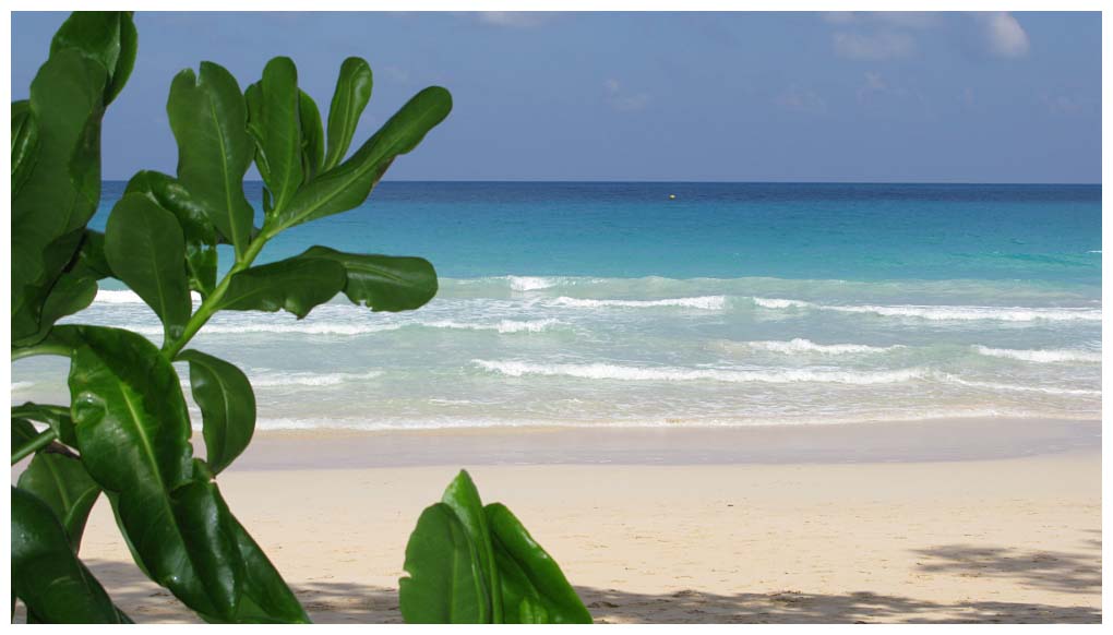 Seychelles Islands: IMG_2609.jpg