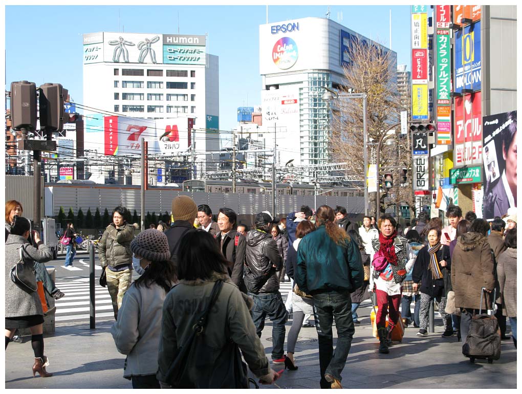 Tokyo, Japan: IMG_1055.jpg