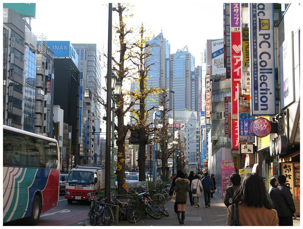 Tokyo, Japan: IMG_1070.jpg