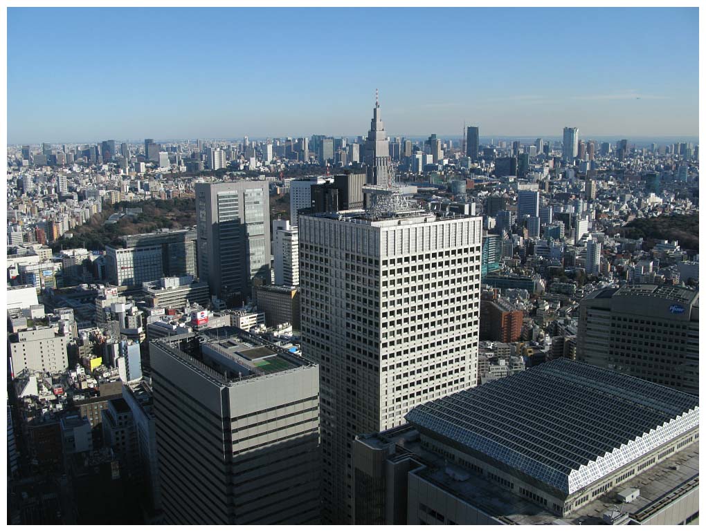Tokyo, Japan: IMG_1083.jpg