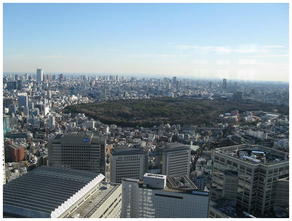 Tokyo, Japan: IMG_1084.jpg