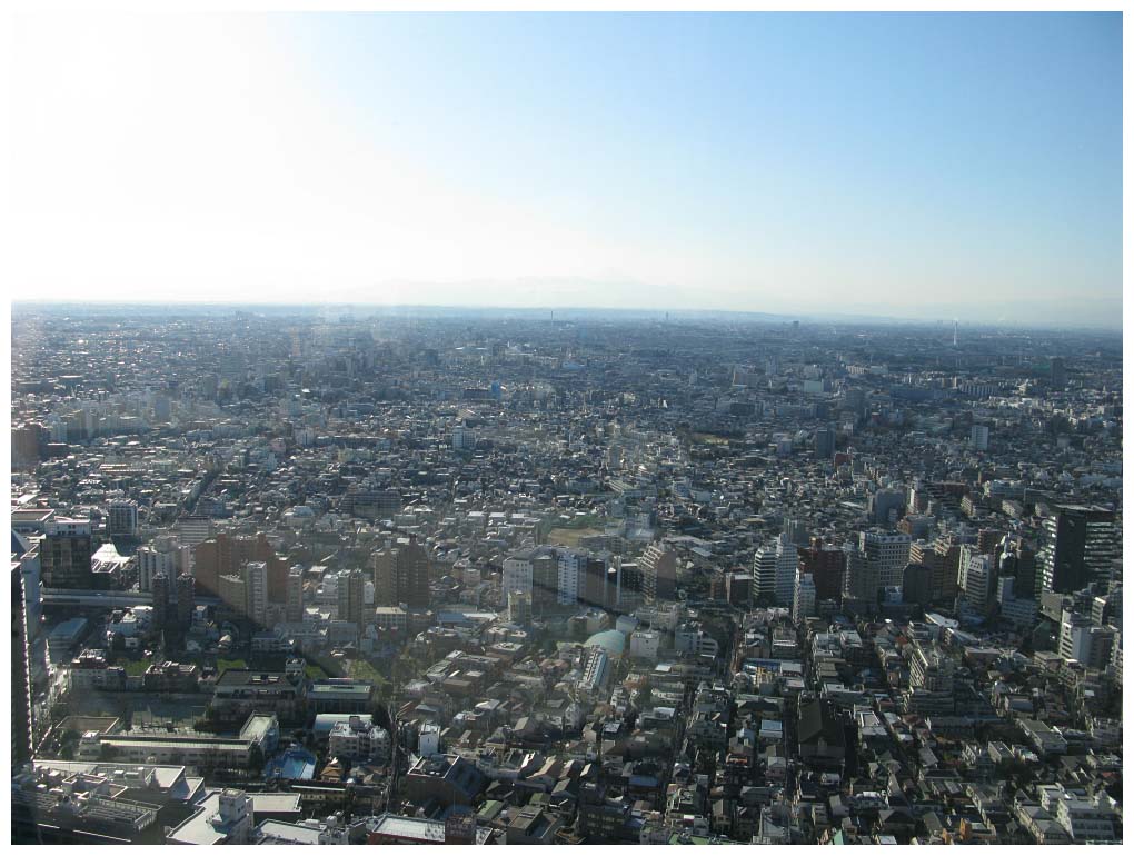 Tokyo, Japan: IMG_1089.jpg