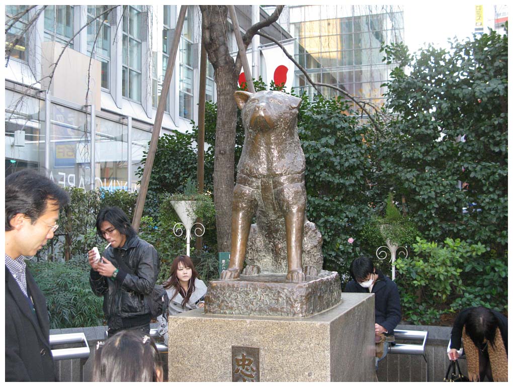 Tokyo, Japan: IMG_1116.jpg