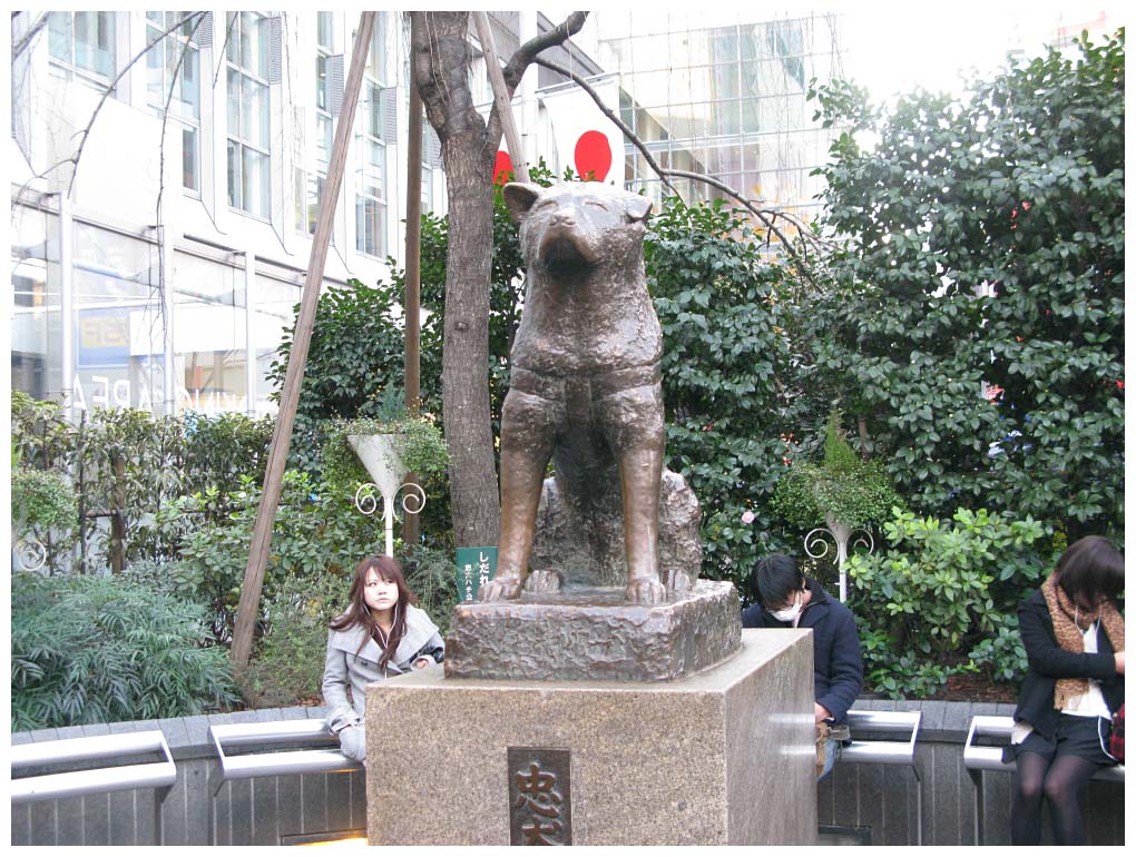 Tokyo, Japan: IMG_1117.jpg